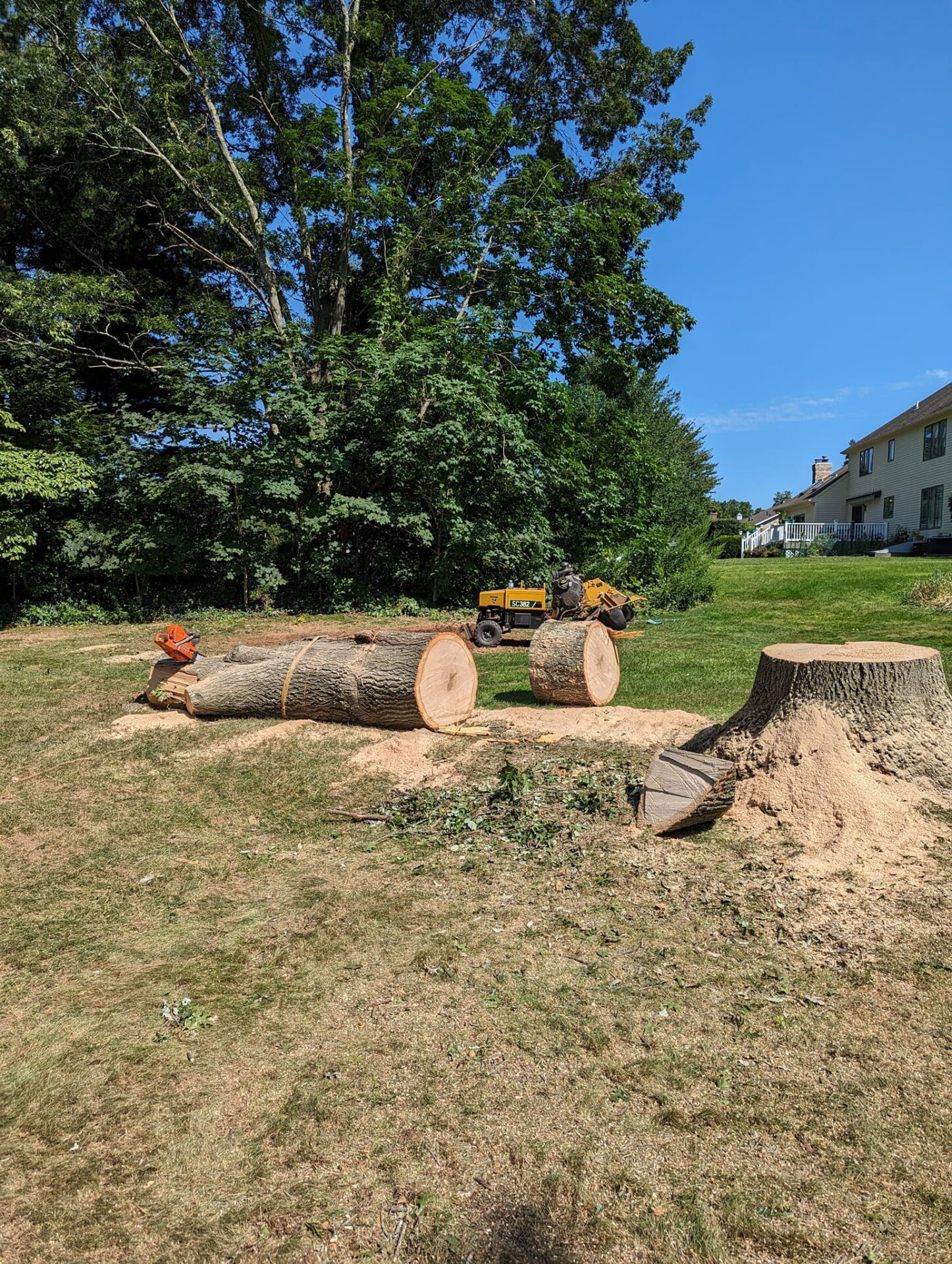 485757943_1199888545231233_7165420479635468744_n Freshly cut tree logs and a large tree stump sit on a residential lawn, surrounded by sawdust and wood chips. A stump grinder and other tree removal equipment are visible, indicating active stump grinding work near a suburban home.