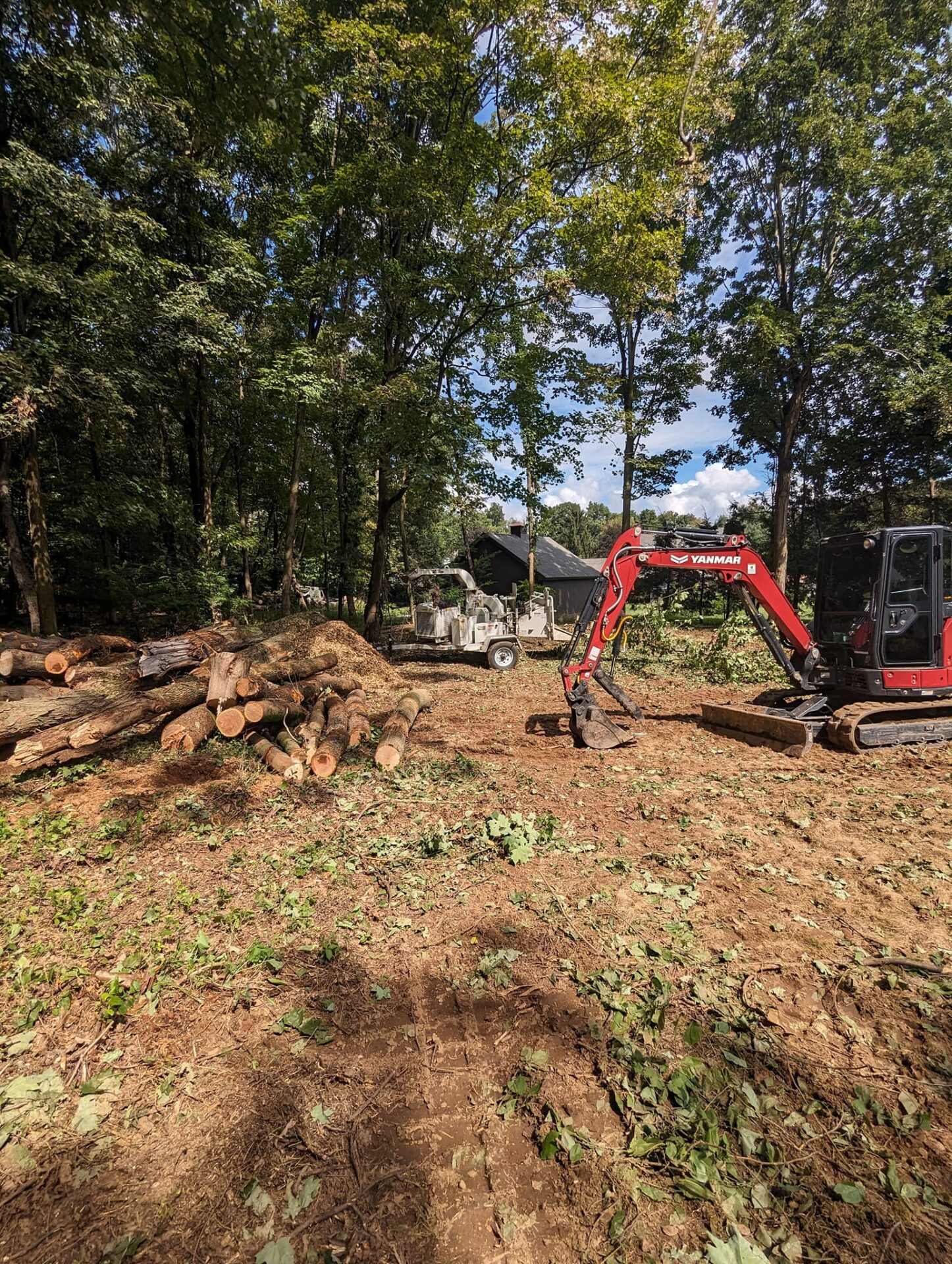 Land clearing site in progress with Yanmar excavator, wood chipper, and felled logs – USA Tree Services equipment on-site in Connecticut
