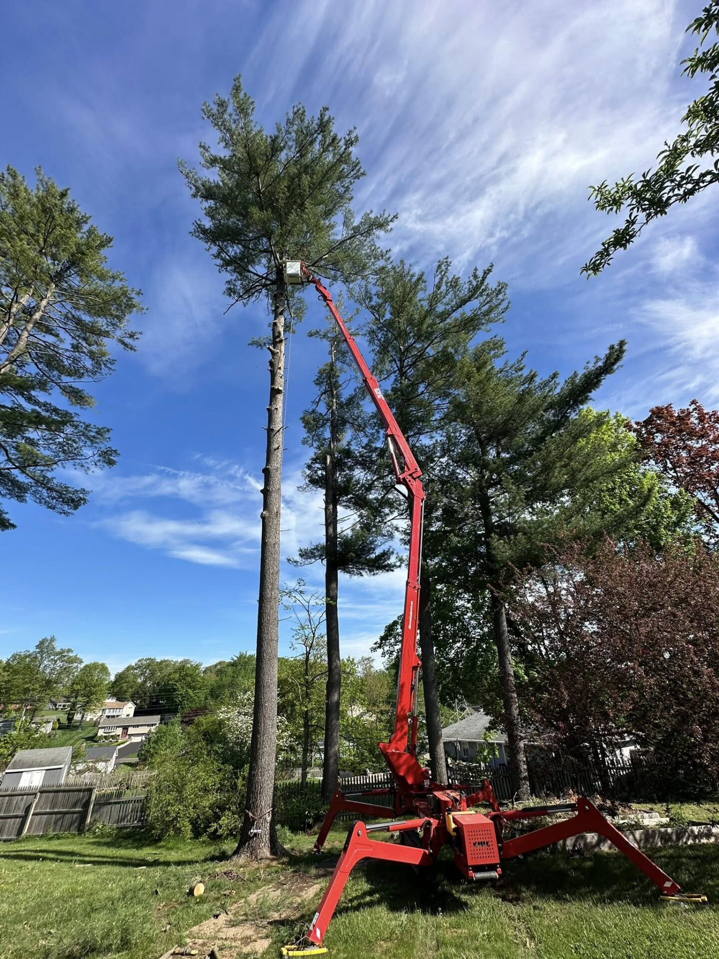 USA Tree Services crew using a spider lift for precision tree removal in a residential neighborhood in Berlin, CT