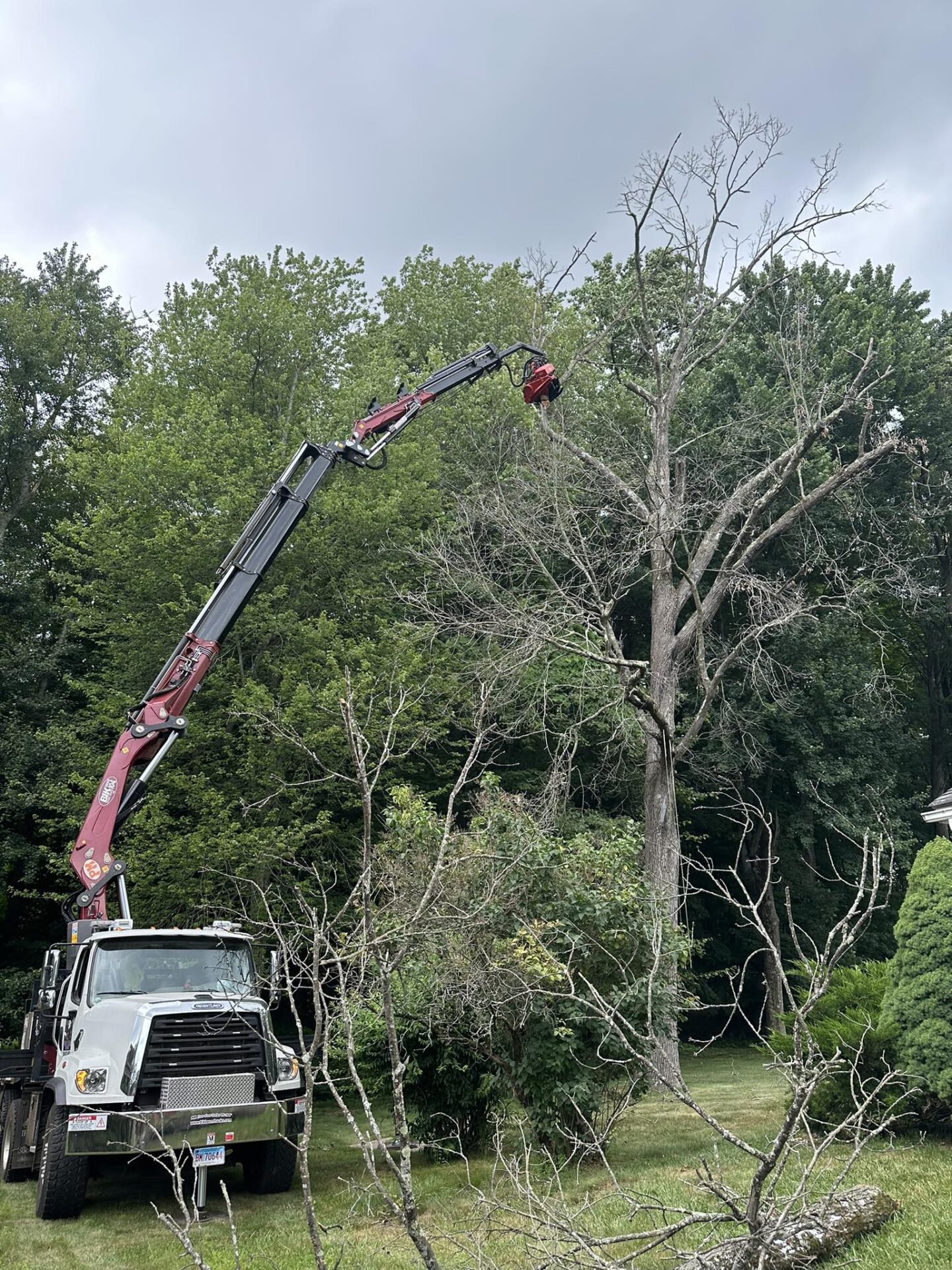 Crane removing tree safeley in tight space in cheshire ct Crane-assisted tree removal in a residential backyard in Cheshire, CT, safely removing a large dead tree near a home.